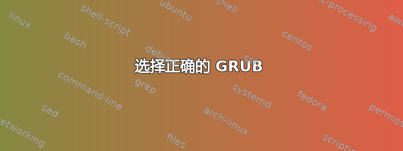 选择正确的 GRUB