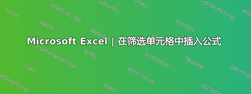 Microsoft Excel | 在筛选单元格中插入公式