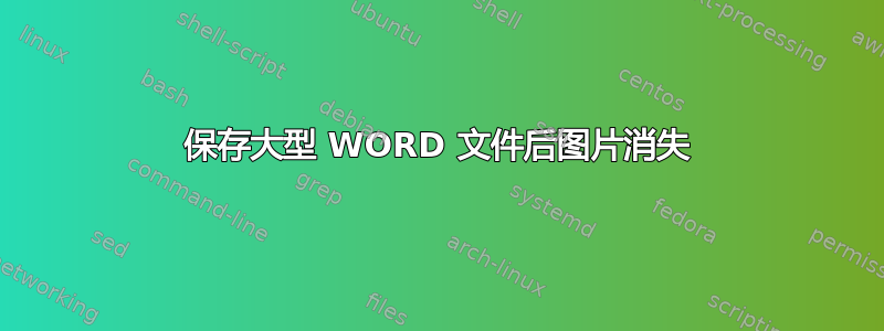 保存大型 WORD 文件后图片消失