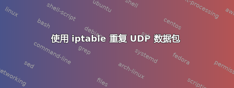 使用 iptable 重复 UDP 数据包