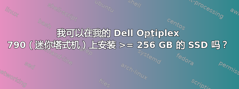 我可以在我的 Dell Optiplex 790（迷你塔式机）上安装 >= 256 GB 的 SSD 吗？