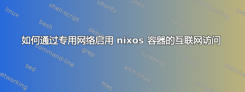 如何通过专用网络启用 nixos 容器的互联网访问