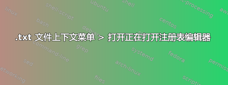 .txt 文件上下文菜单 > 打开正在打开注册表编辑器