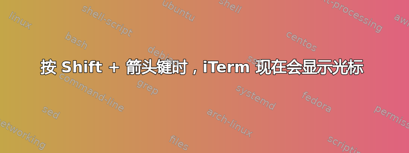 按 Shift + 箭头键时，iTerm 现在会显示光标