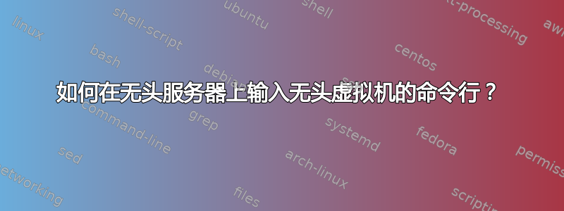 如何在无头服务器上输入无头虚拟机的命令行？