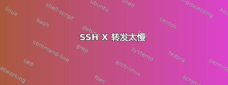 SSH X 转发太慢