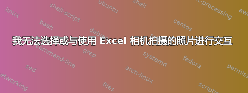 我无法选择或与使用 Excel 相机拍摄的照片进行交互