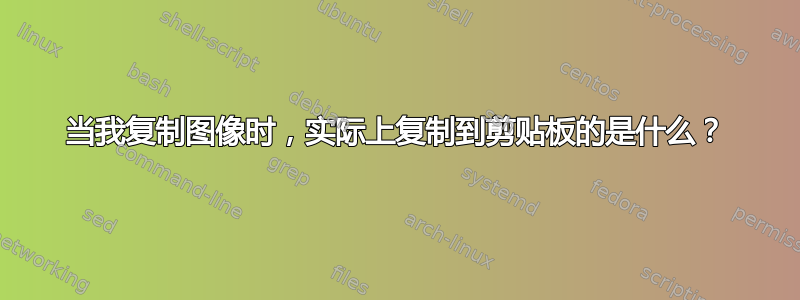 当我复制图像时，实际上复制到剪贴板的是什么？