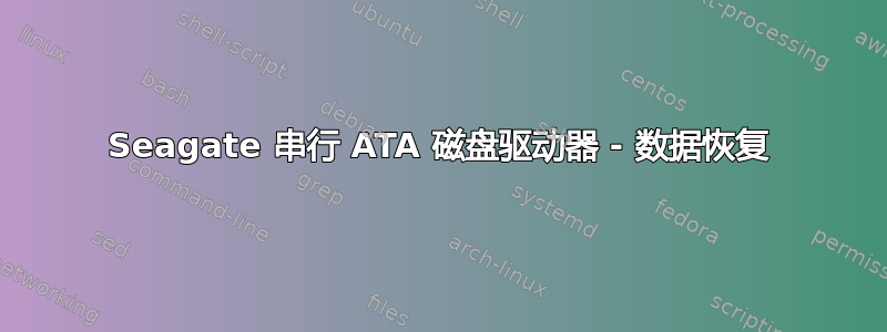 Seagate 串行 ATA 磁盘驱动器 - 数据恢复