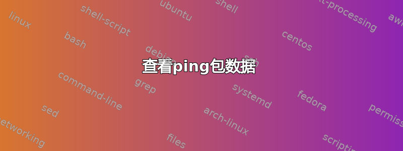 查看ping包数据