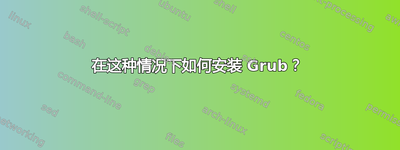 在这种情况下如何安装 Grub？