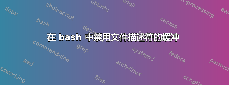 在 bash 中禁用文件描述符的缓冲