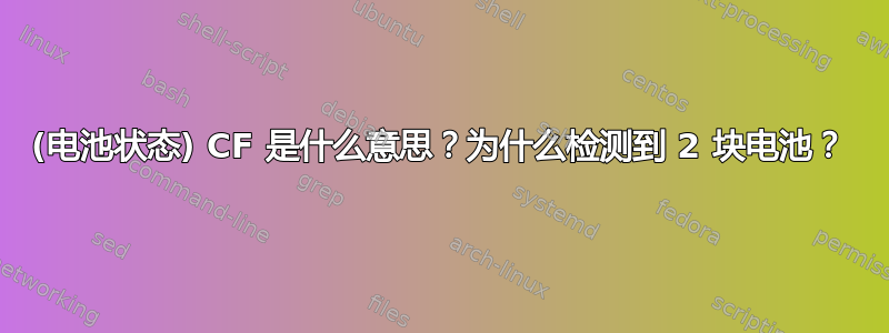 (电池状态) CF 是什么意思？为什么检测到 2 块电池？