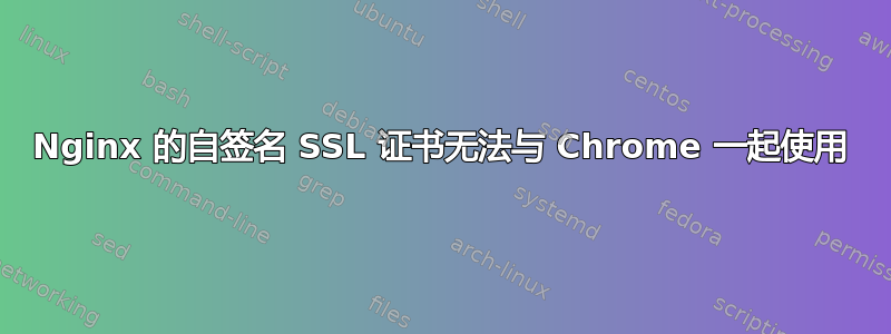 Nginx 的自签名 SSL 证书无法与 Chrome 一起使用