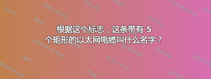 根据这个标志，这条带有 5 个矩形的以太网电缆叫什么名字？