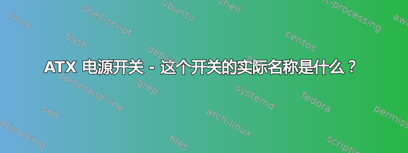 ATX 电源开关 - 这个开关的实际名称是什么？