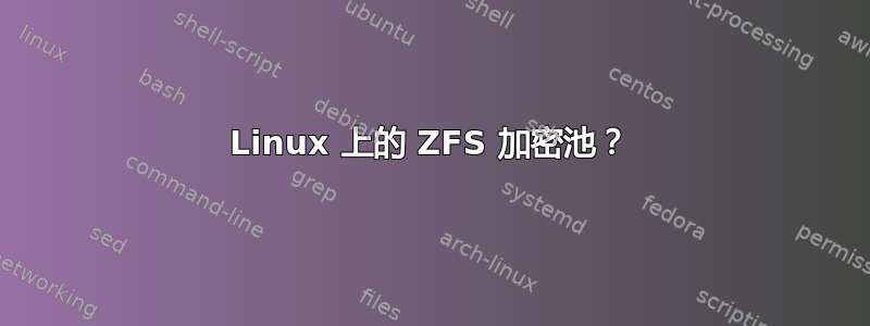 Linux 上的 ZFS 加密池？