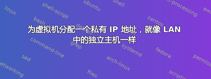 为虚拟机分配一个私有 IP 地址，就像 LAN 中的独立主机一样