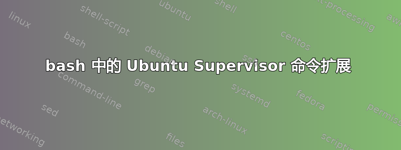 bash 中的 Ubuntu Supervisor 命令扩展