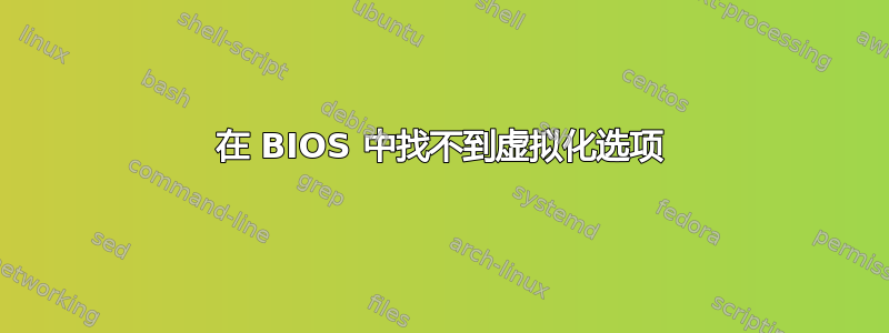 在 BIOS 中找不到虚拟化选项