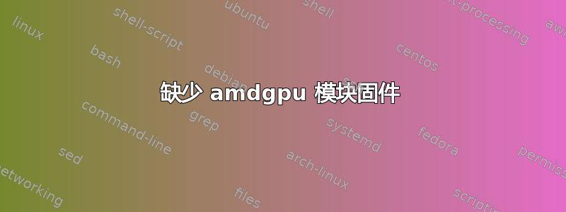 缺少 amdgpu 模块固件