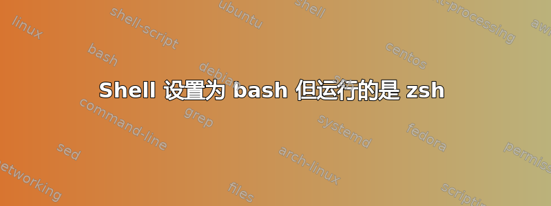 Shell 设置为 bash 但运行的是 zsh