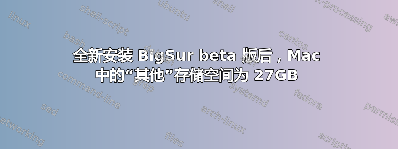 全新安装 BigSur beta 版后，Mac 中的“其他”存储空间为 27GB