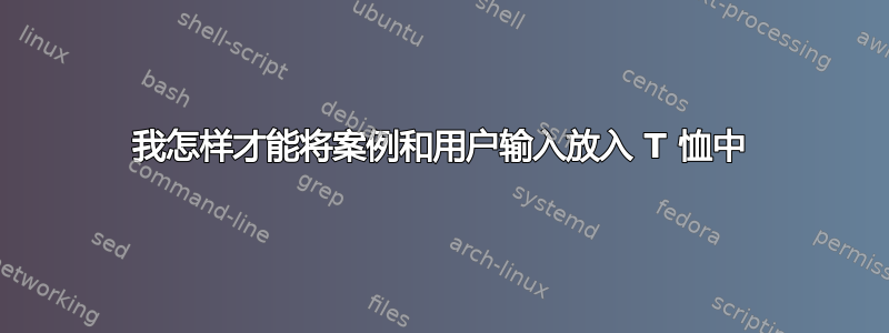 我怎样才能将案例和用户输入放入 T 恤中