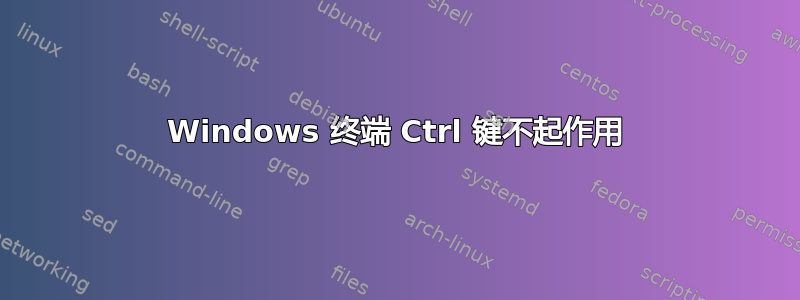 Windows 终端 Ctrl 键不起作用