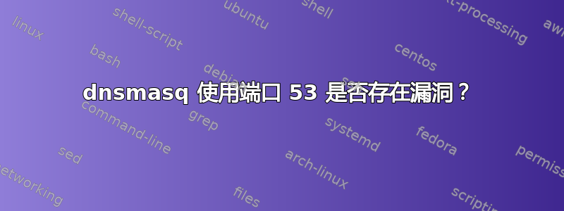 dnsmasq 使用端口 53 是否存在漏洞？