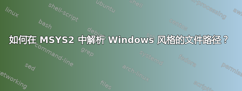 如何在 MSYS2 中解析 Windows 风格的文件路径？