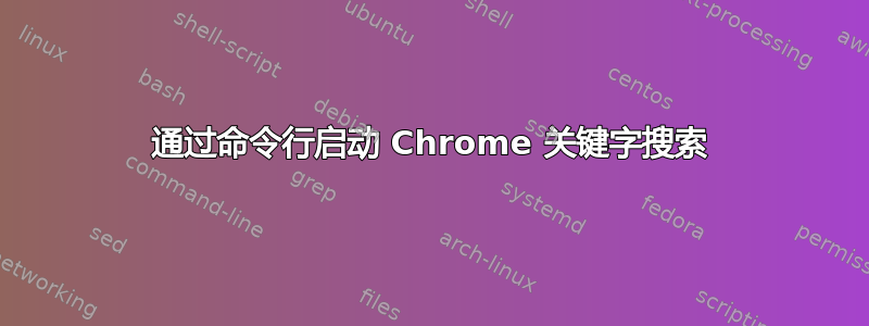 通过命令行启动 Chrome 关键字搜索