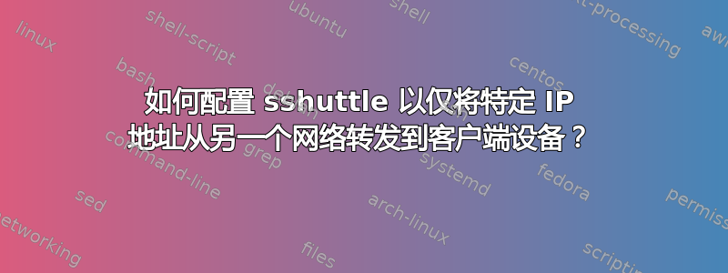 如何配置 sshuttle 以仅将特定 IP 地址从另一个网络转发到客户端设备？