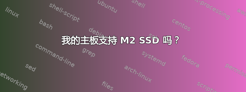 我的主板支持 M2 SSD 吗？