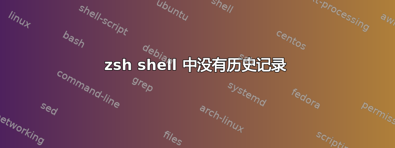 zsh shell 中没有历史记录