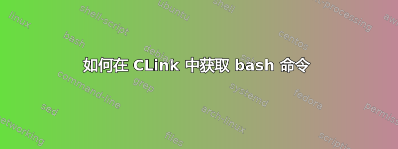 如何在 CLink 中获取 bash 命令