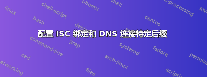 配置 ISC 绑定和 DNS 连接特定后缀