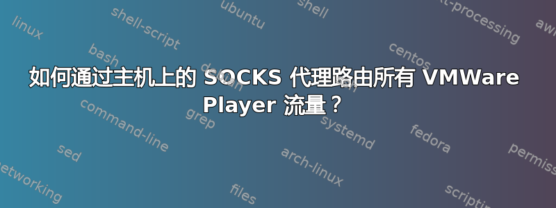 如何通过主机上的 SOCKS 代理路由所有 VMWare Player 流量？