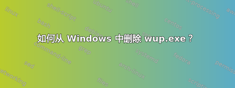 如何从 Windows 中删除 wup.exe？