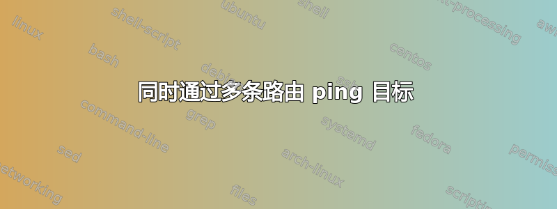 同时通过多条路由 ping 目标