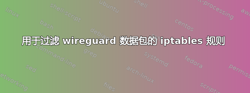 用于过滤 wireguard 数据包的 iptables 规则