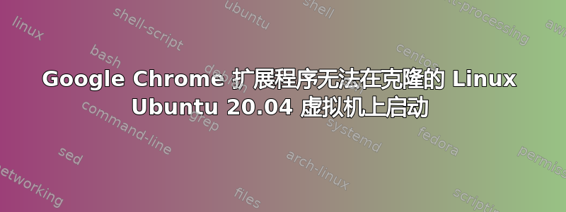 Google Chrome 扩展程序无法在克隆的 Linux Ubuntu 20.04 虚拟机上启动