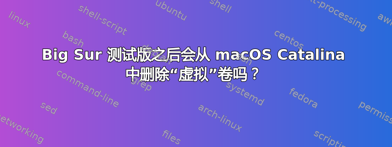 Big Sur 测试版之后会从 macOS Catalina 中删除“虚拟”卷吗？