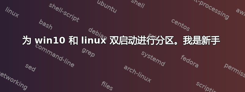 为 win10 和 linux 双启动进行分区。我是新手