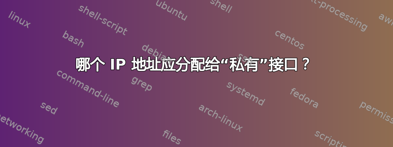 哪个 IP 地址应分配给“私有”接口？