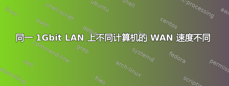 同一 1Gbit LAN 上不同计算机的 WAN 速度不同