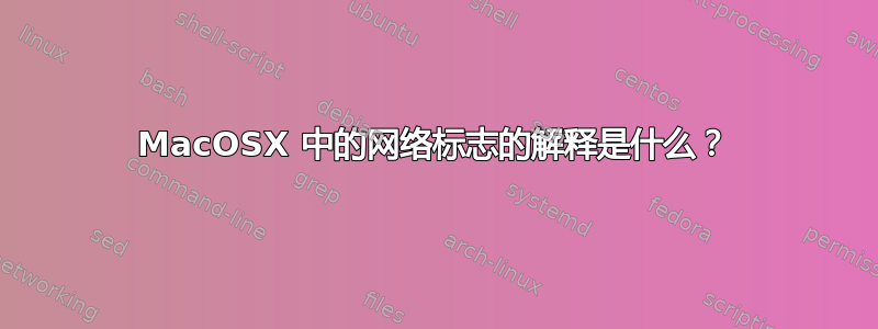 MacOSX 中的网络标志的解释是什么？