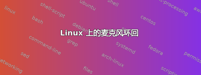 Linux 上的麦克风环回