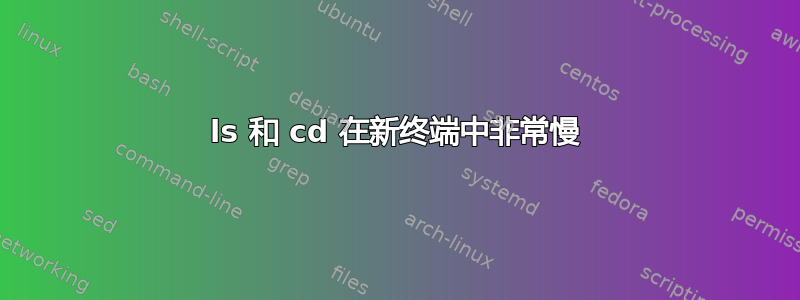 ls 和 cd 在新终端中非常慢