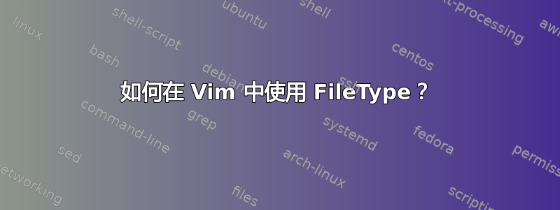 如何在 Vim 中使用 FileType？